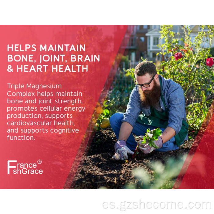 Magnesio Complejo de 300 mg Músculos Cápsulas glicinadas de magnesio